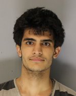 PARSA ROBERT BOJNORDI.jpg