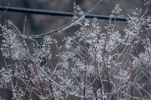 01252026 SUNDAYWEATHER 5.jpg