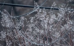 01252026 SUNDAYWEATHER 5.jpg