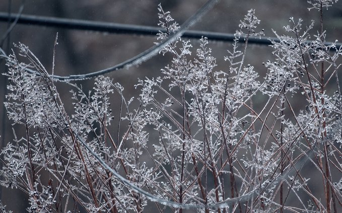 01252026 SUNDAYWEATHER 5.jpg