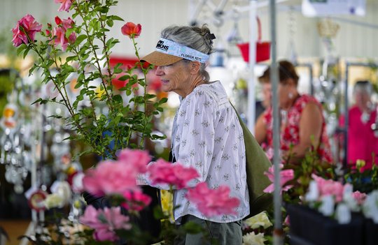 The Hall County Master Gardeners Spring Expo is almost here. Here are the details