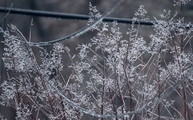 01252026 SUNDAYWEATHER 5.jpg