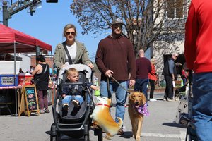 2025 Mutts on Main 1.jpg