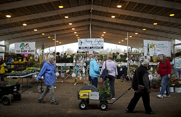 04062019 PLANT 1.jpg