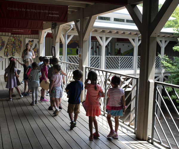 08112020 ELACHEE 2.jpg