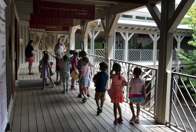 08112020 ELACHEE 2.jpg