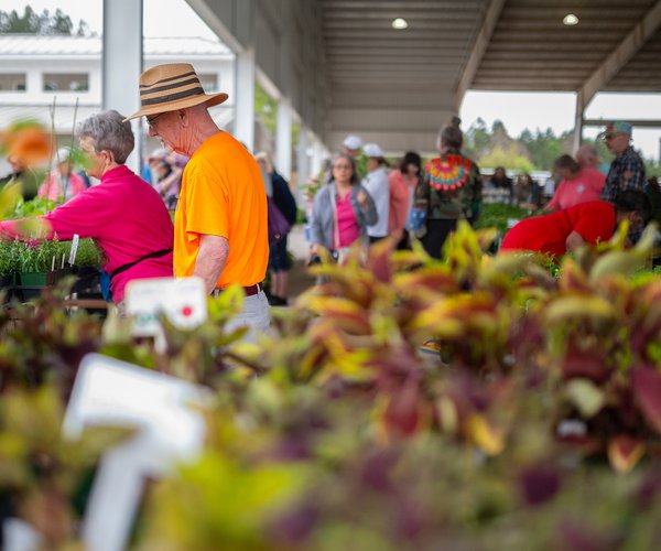 04042026 GARDENEXPO 9.jpg