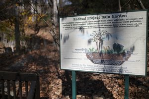 11222025 NATURE 9.jpg