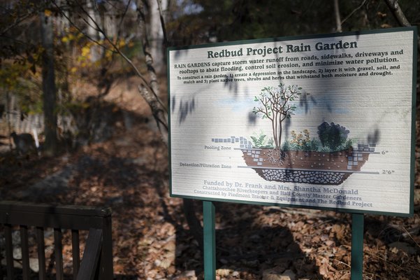 11222025 NATURE 9.jpg