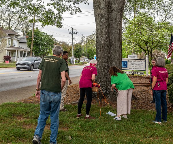 04072026 SAVEGREENSTREET 3.jpg