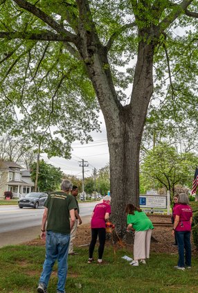 04072026 SAVEGREENSTREET 3.jpg