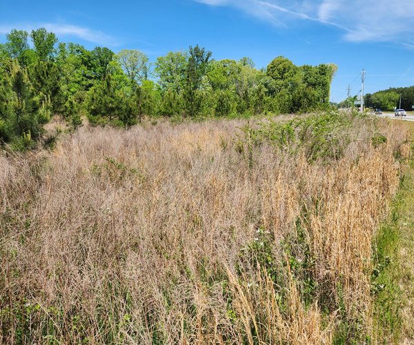 04142026 STERLINGONLAKE 1.jpg