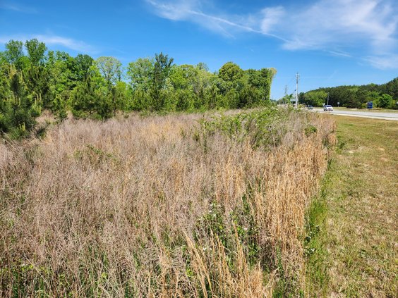 04142026 STERLINGONLAKE 1.jpg