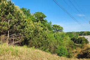 04152026 BRASELTON 1.jpg