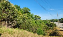 04152026 BRASELTON 1.jpg