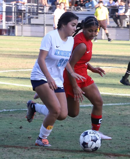 High school soccer: Johnson, Cherokee Bluff girls earn first-round playoff wins, Lakeview Academy girls also victorious