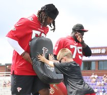 Falcons4.jpg