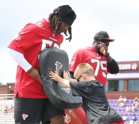 Falcons4.jpg