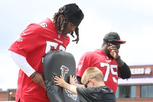 Falcons4.jpg