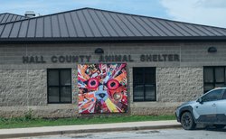 03112026 ANIMALSHELTER 1.jpg