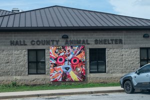 03112026 ANIMALSHELTER 1.jpg