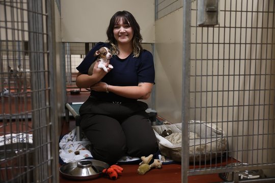 Times reporter to spend day 'behind bars' for Humane Society of Northeast Georgia fundraiser