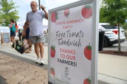 071626_Tomato_0199.jpg