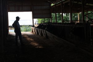 072726_Meat Prices_0063.jpg