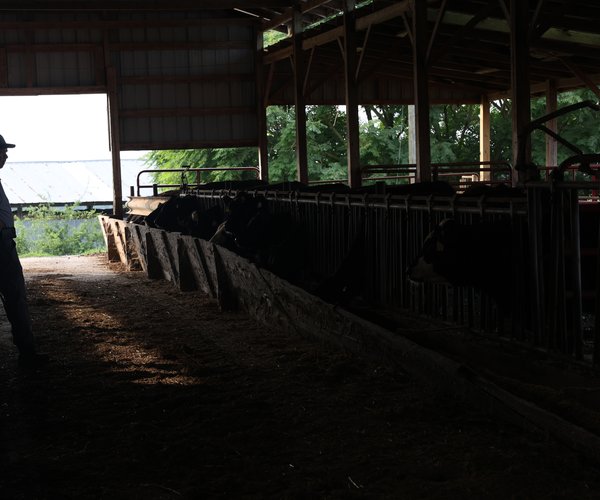 072726_Meat Prices_0063.jpg