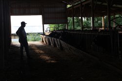 072726_Meat Prices_0063.jpg