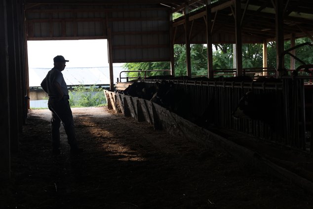 072726_Meat Prices_0063.jpg