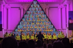 Full Tree.jpg