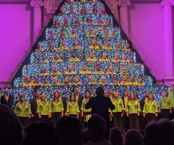 Full Tree.jpg