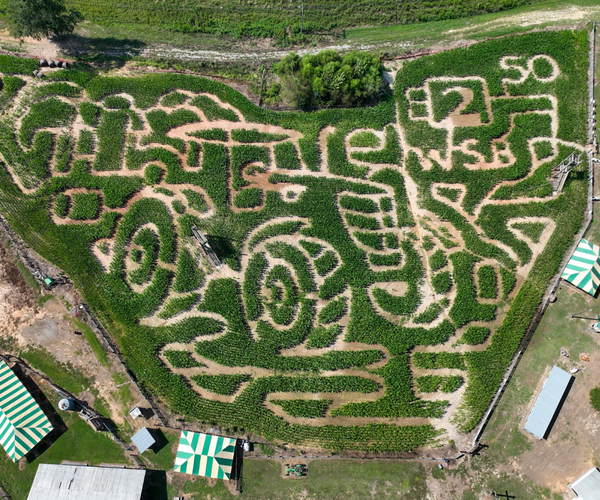 0901BUFORDMAZE