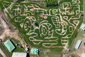 0901BUFORDMAZE
