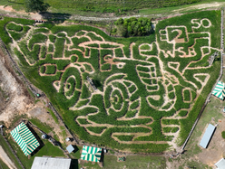 0901BUFORDMAZE