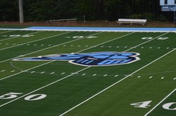 Johnson football