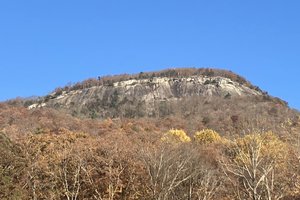 IMG_0045.jpeg