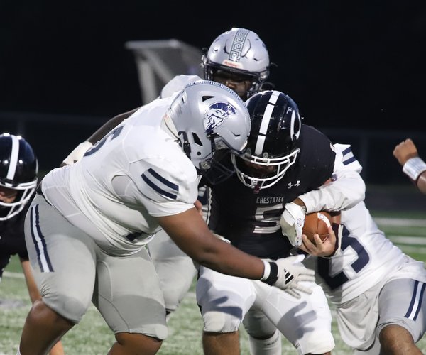 Chestatee3.jpg
