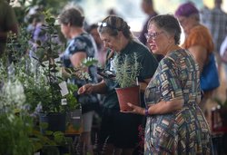 09272025 PLANTEXPO 1.jpg