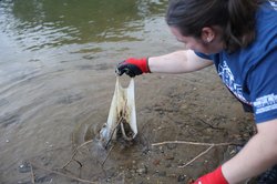 091926_ShoreSweep_89.jpg
