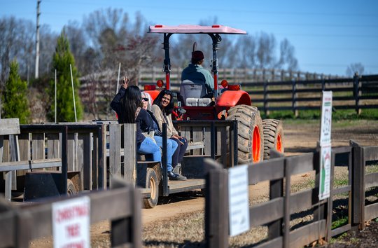 'It wasn't an easy decision': Why Kinsey Family Farm won't sell pumpkins this year