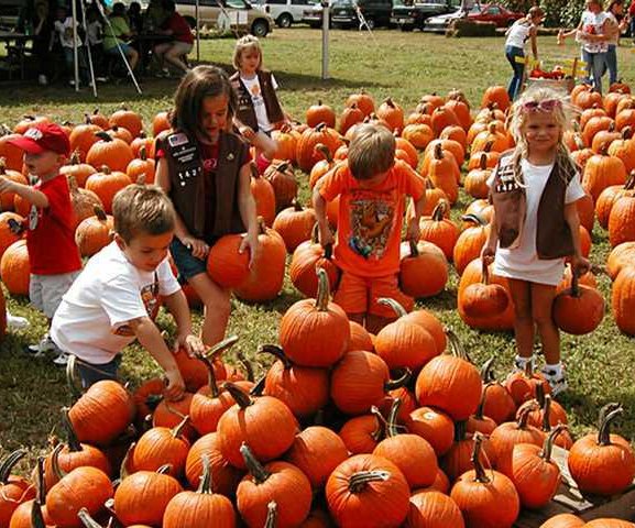 0911CornMaze2