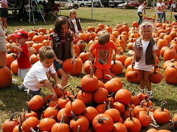 0911CornMaze2