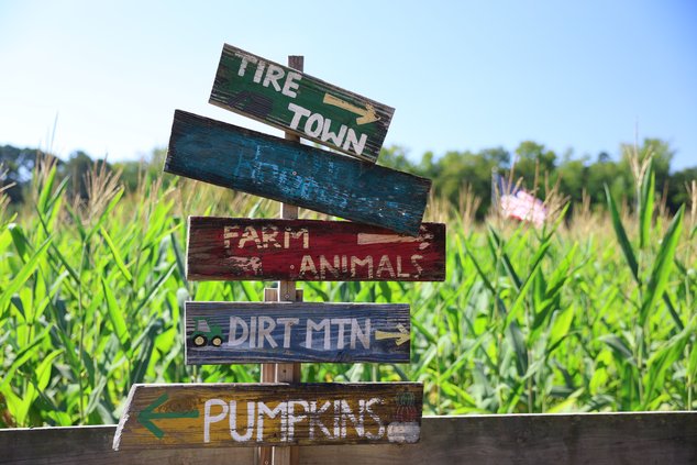 100626_BufordCornMaze_5.jpg