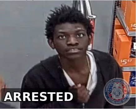 Teen arrested, another wanted in Walmart shooting that killed 81-year-old innoce...