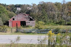 101926_NewBufordCornMaze_30.jpg