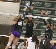 Volleyball1.jpg